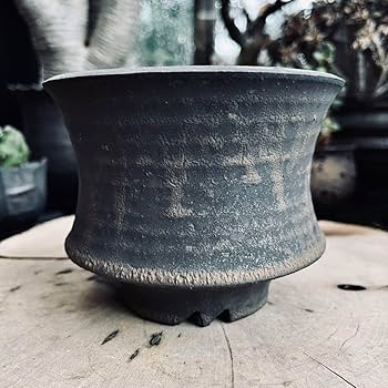 oroku pot 鉢 植木鉢 パキプス アガベ グラキリス oroku pot 鉢 植木鉢 パキプス アガベ グラキリス Amazon.co.jp